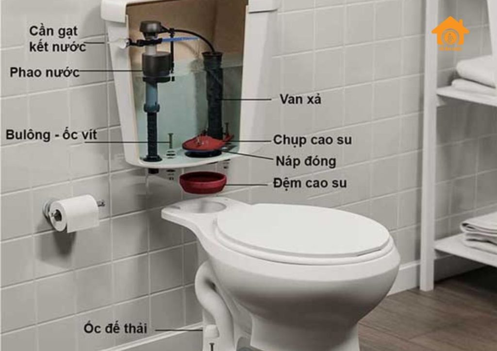 Cấu tạo bồn cầu